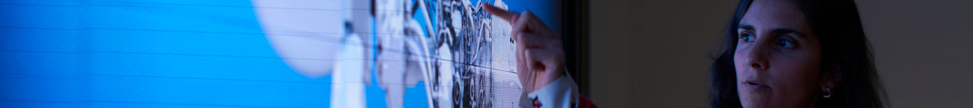 Bild zu Fleet Planning Officer